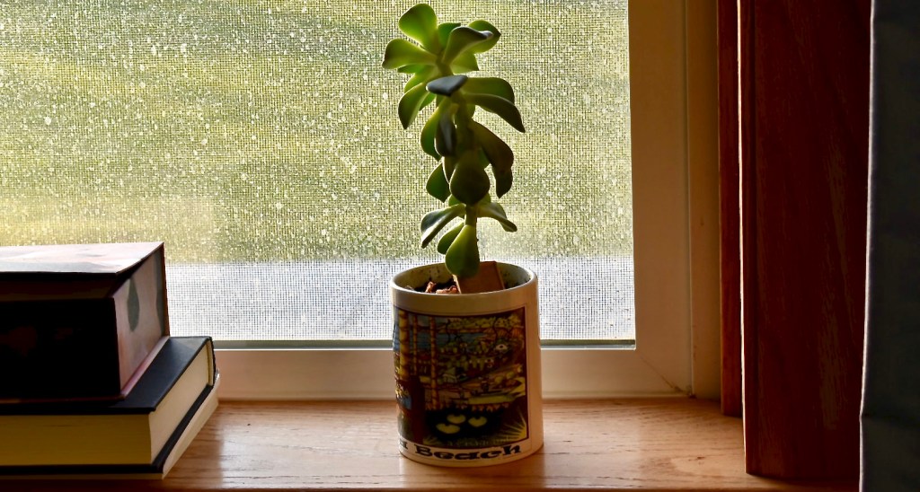 Can You Tell Me How To Stand Out?