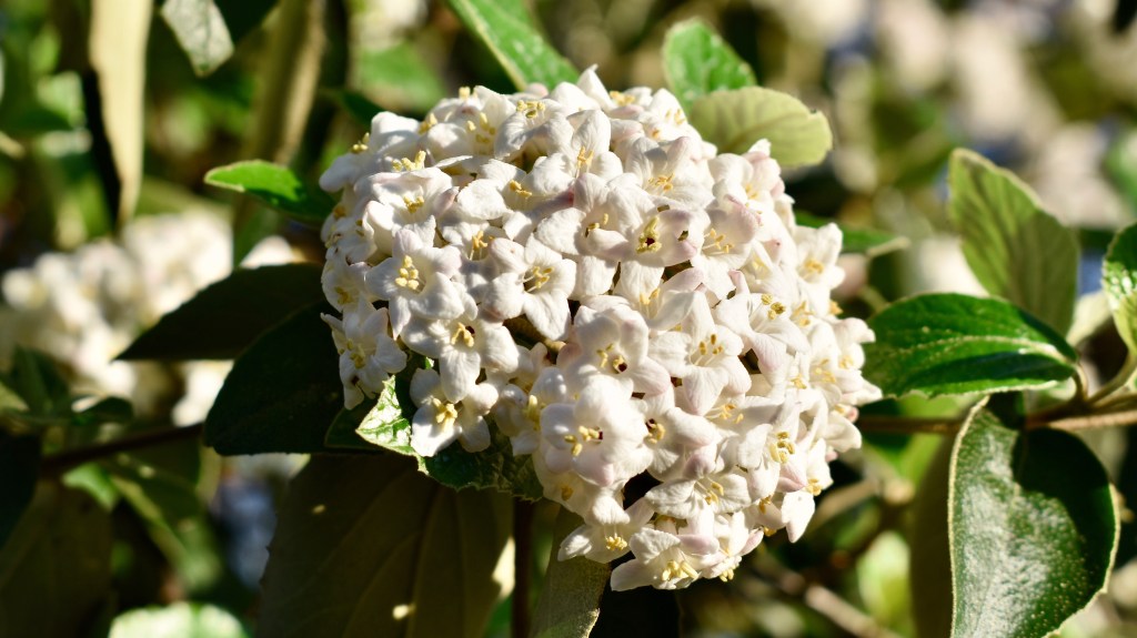 Putting ‘The Why’ Before ‘The What’