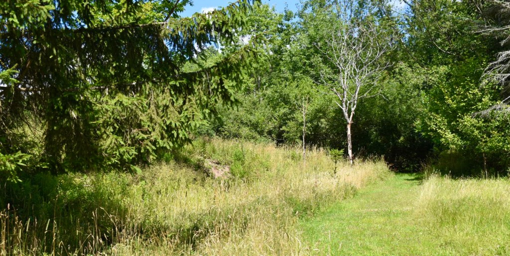 Don’t Search for the&nbsp;Answers